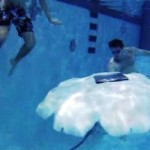 Crearon una medusa robot para vigilar el mar